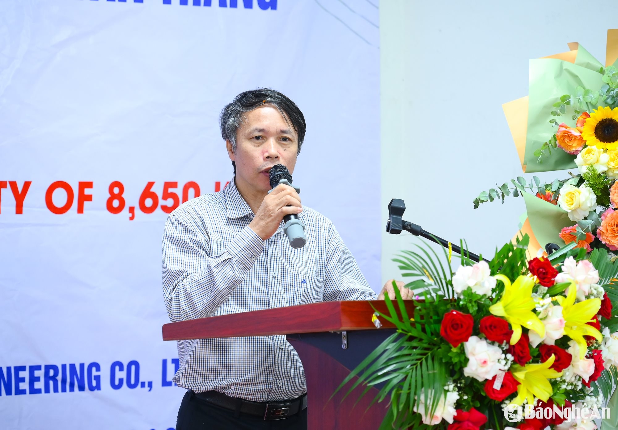 Xi măng Tân Thắng-1
