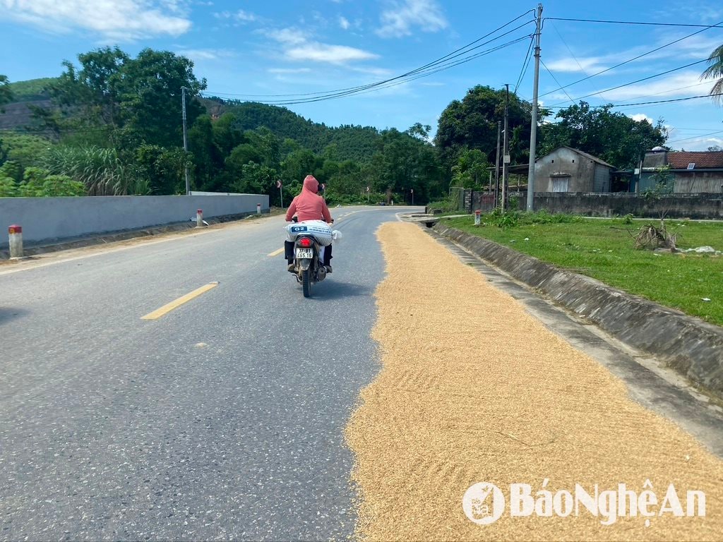 សាលា