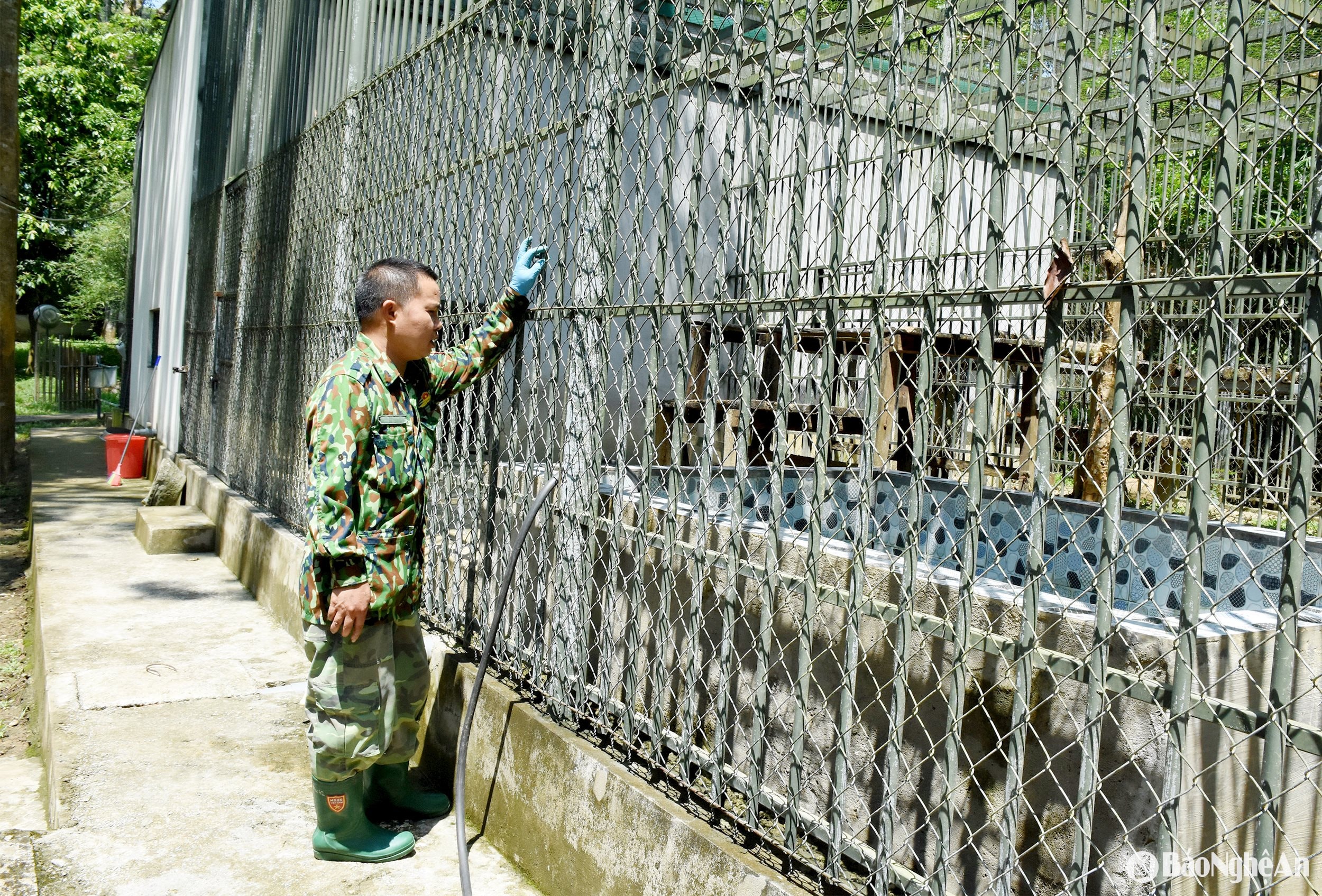 8 dong vat hoang da