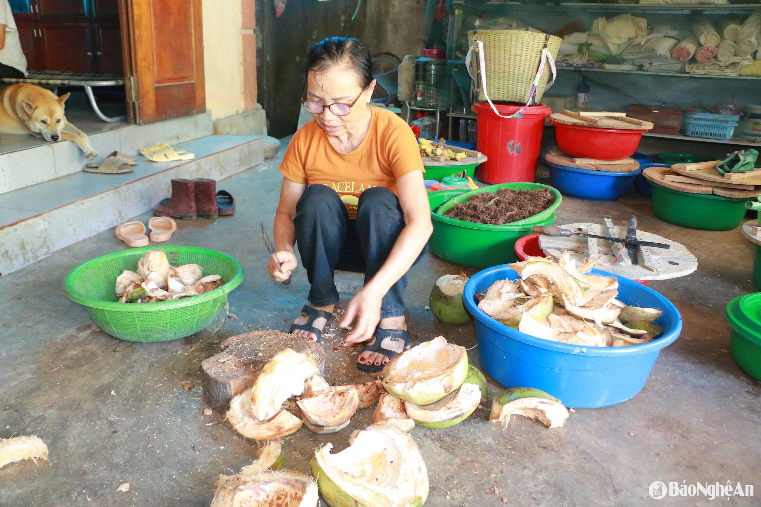 thức ăn