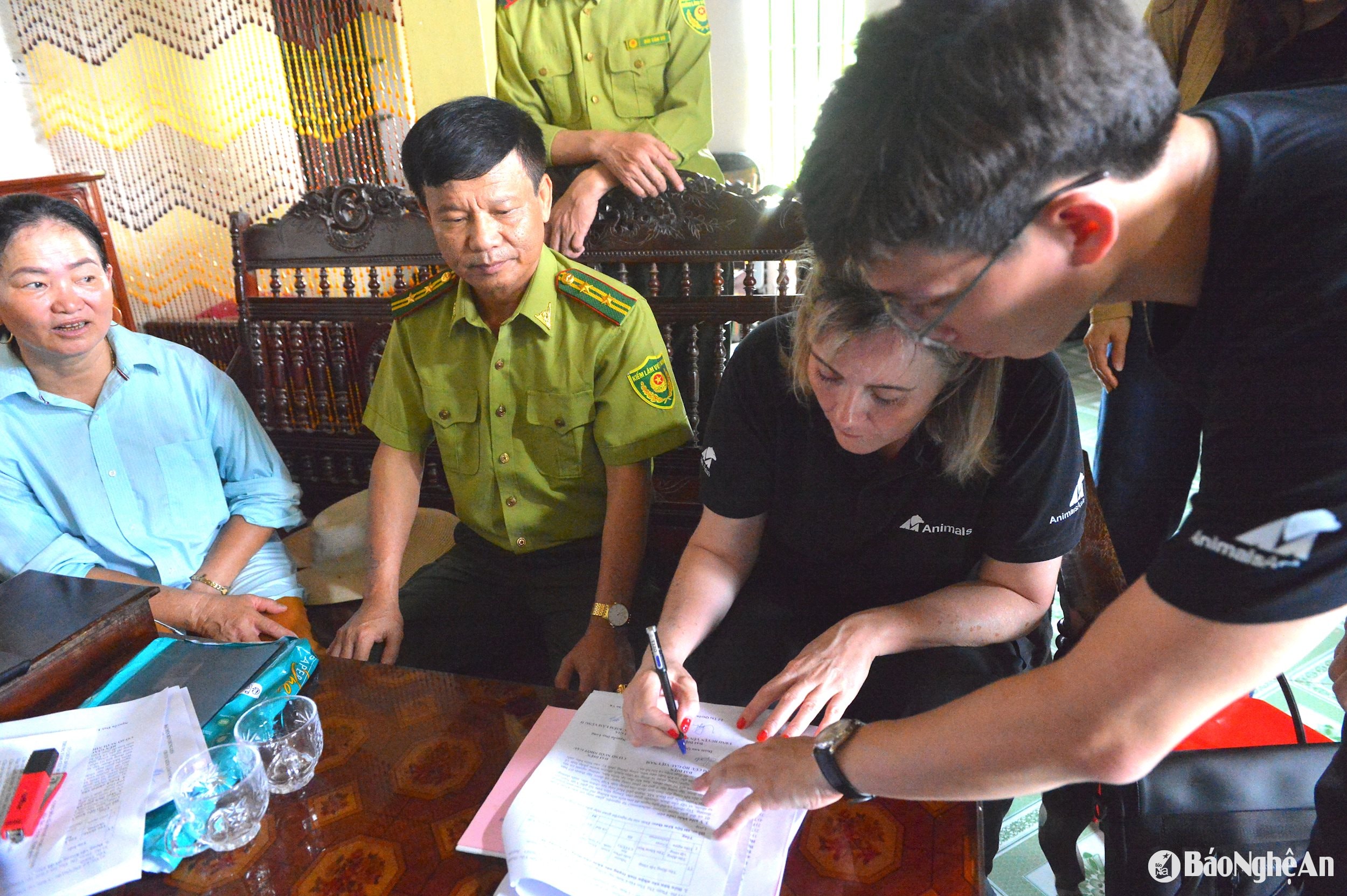 សាលា ១២