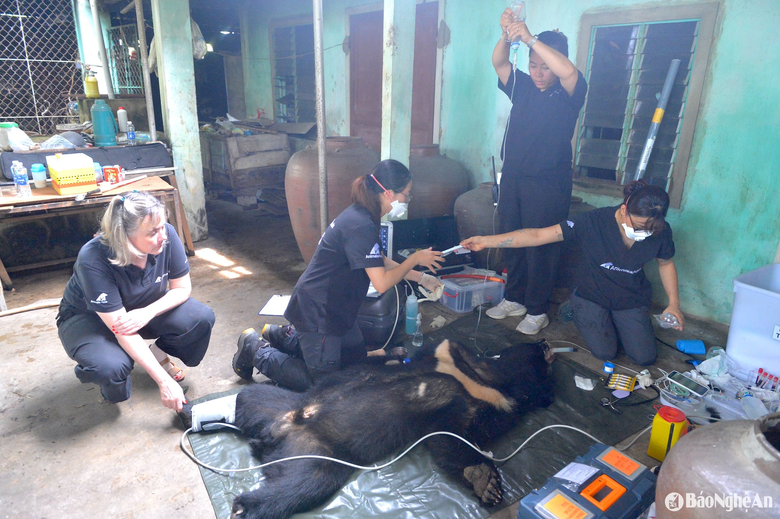 សាលា ៣៤៥