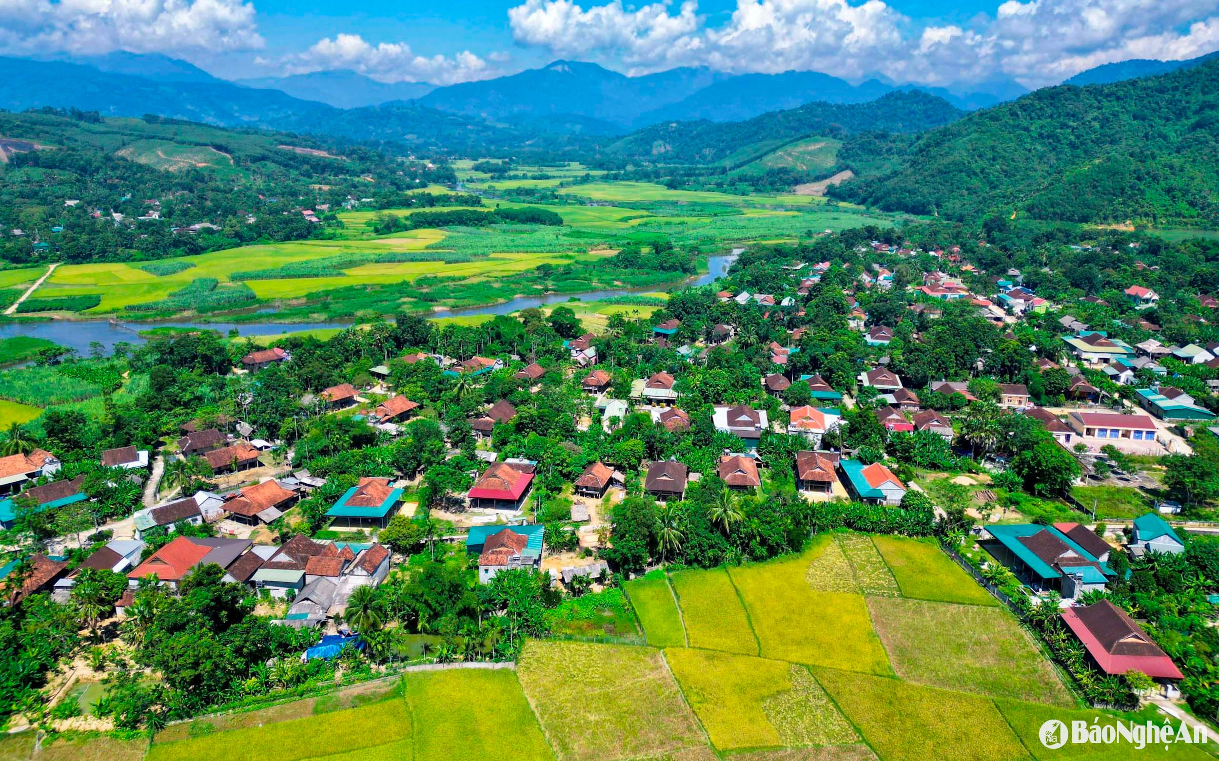 quy chau (39)