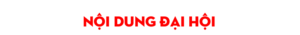 daihoi19-t2.png