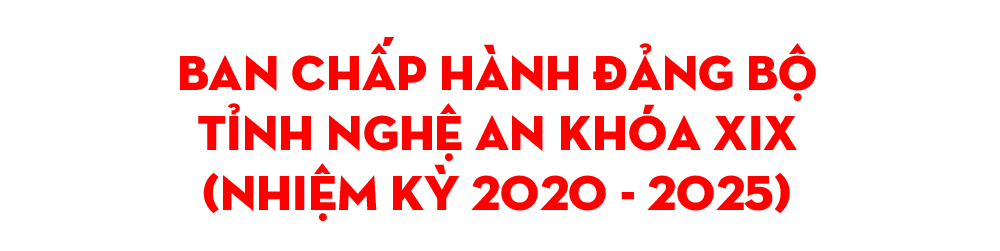 daihoi19-t4.png