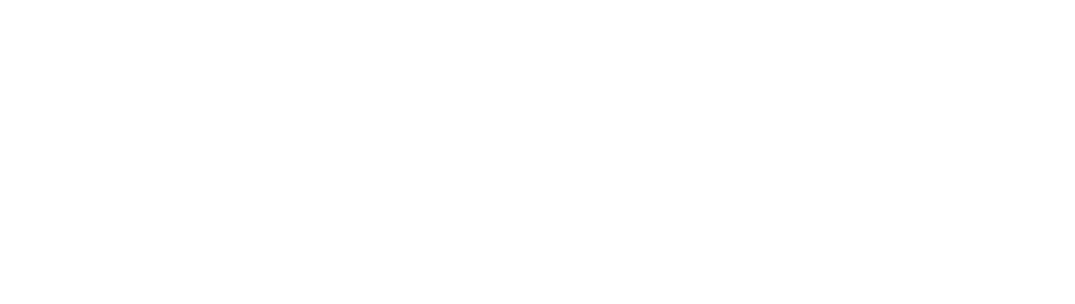 sapo.png
