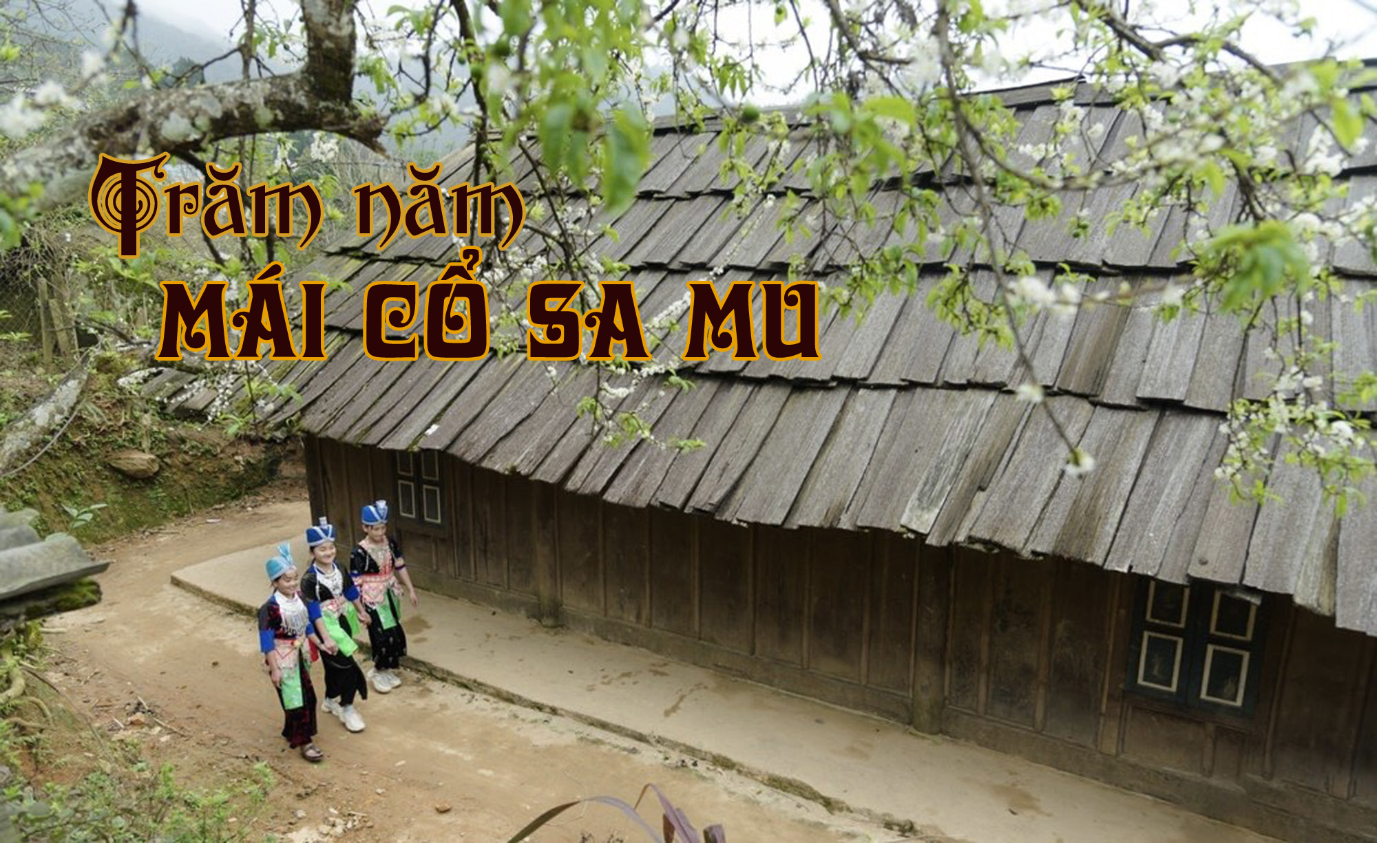 Tieu de