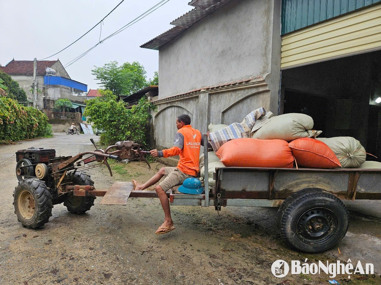 Le prix pour sécher 1 tonne de riz varie entre 700 000 et 800 000 VND. Photo : T.P.