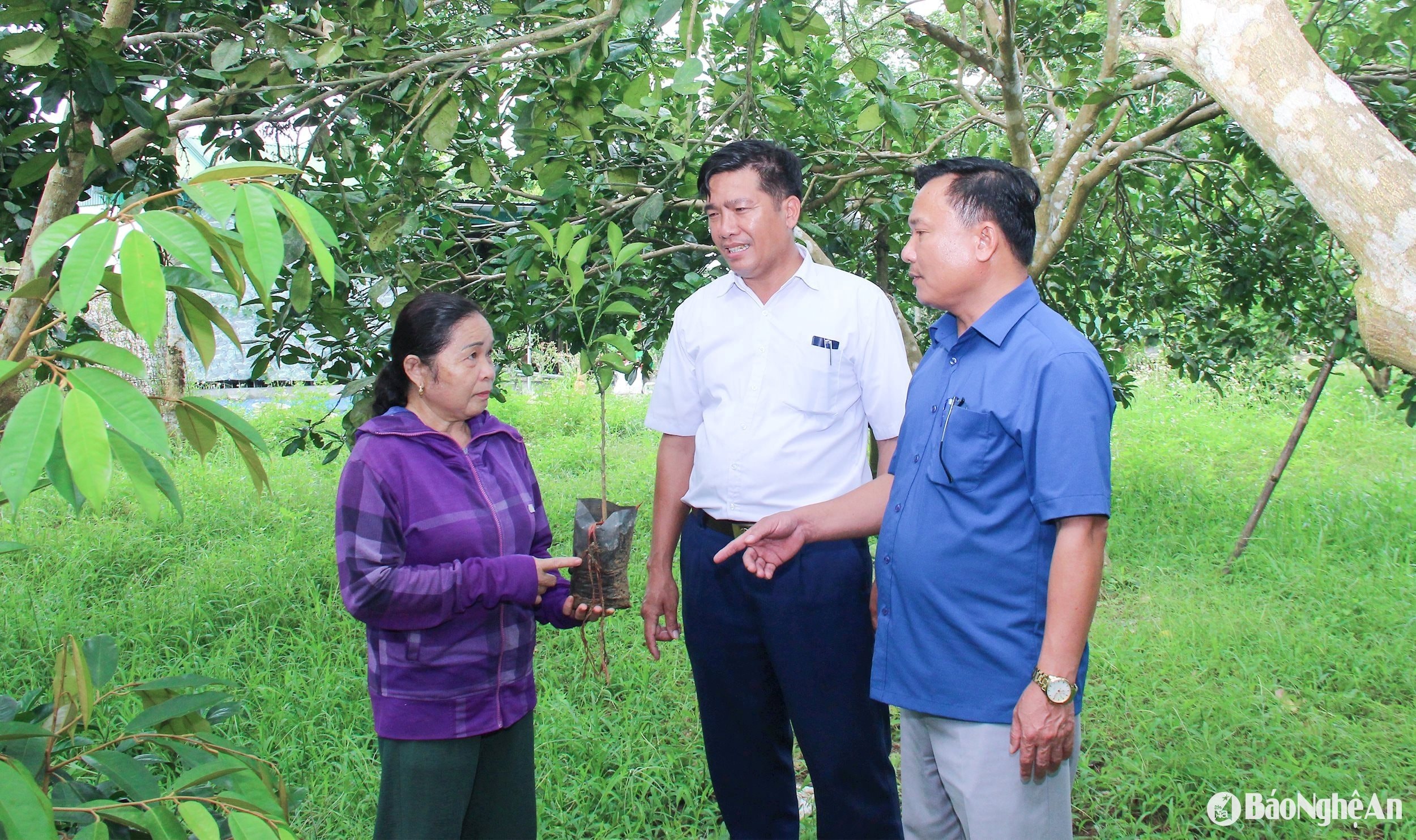 can-bo-xa-tang-thanh-huyen-yen-thanh-tim-hieu-thao-go-kho-khan-vuong-mac-cho-nguoi-dan-ve-dat-dai-de-mo-rong-quy-mo-trang-trai-gia-trai