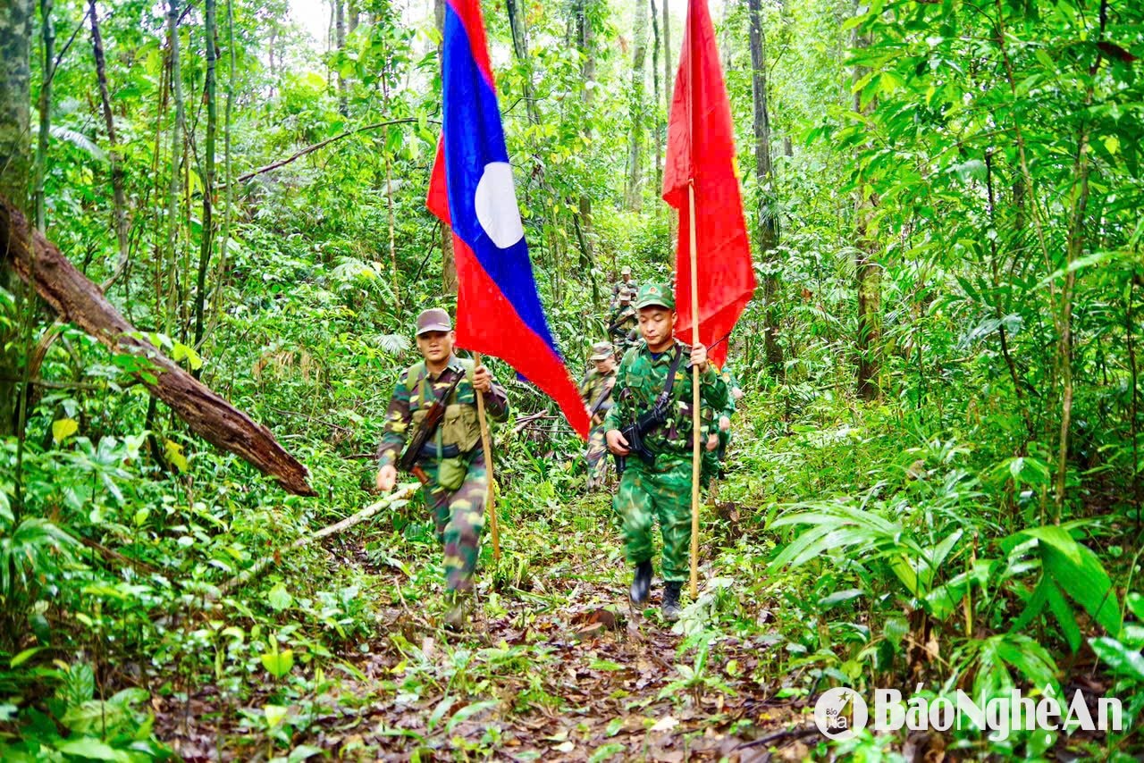 0. រូបថត pv