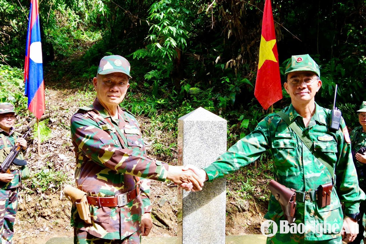 4. រូបថត pv