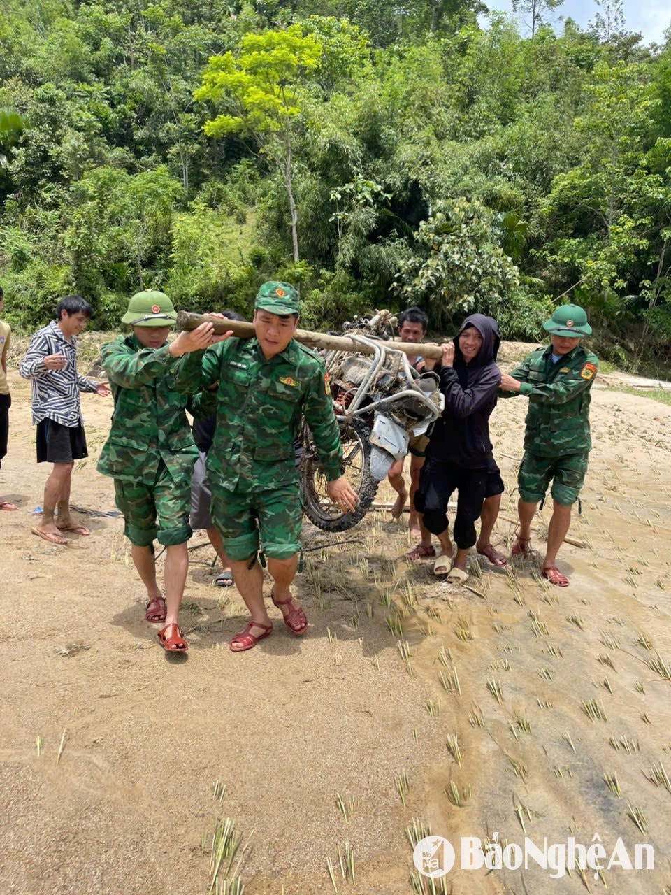 Anh 6