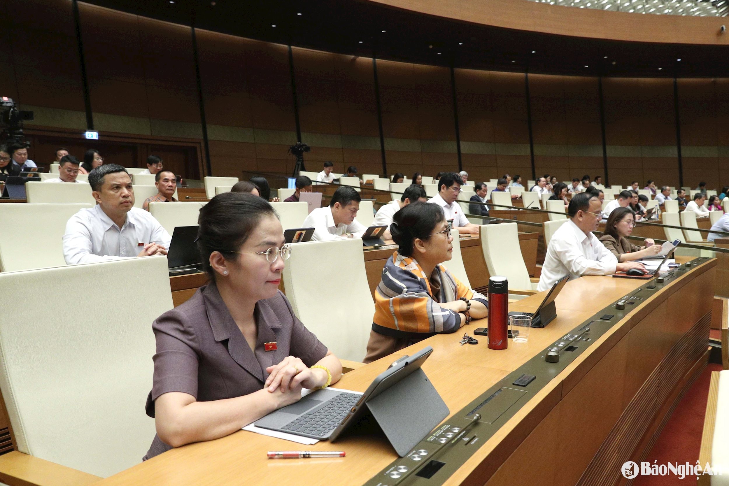 Họp QH sáng 29:5 4