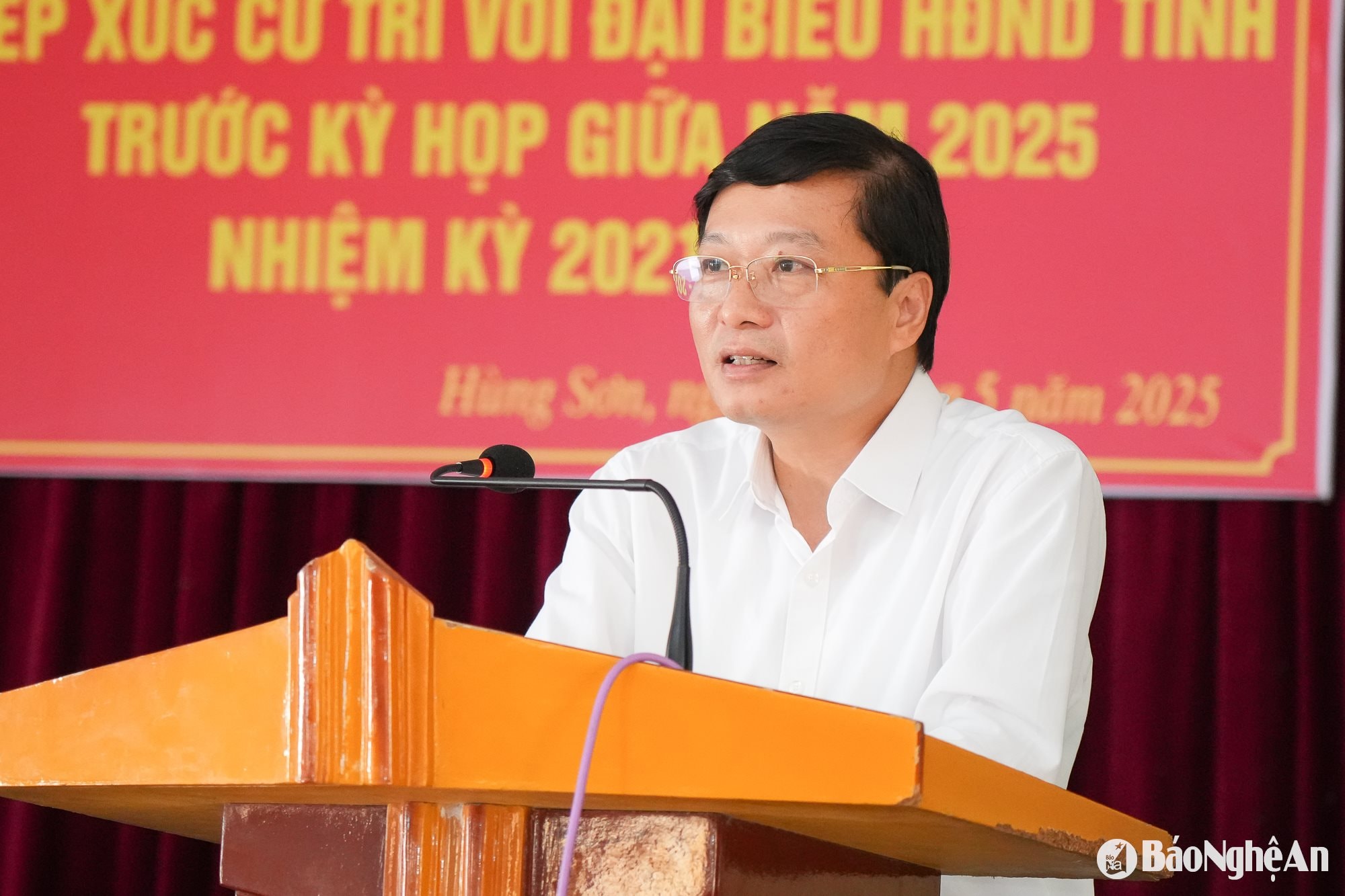 Tiếp xúc cử tri Anh Sơn-10