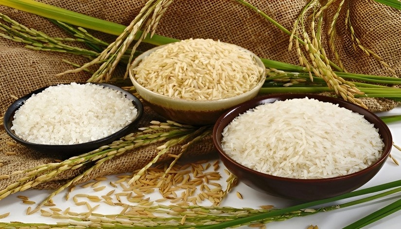 Giá lúa gạo hôm nay 30/5/2025 giảm nhẹ: xuất khẩu đối mặt thách thức mới?