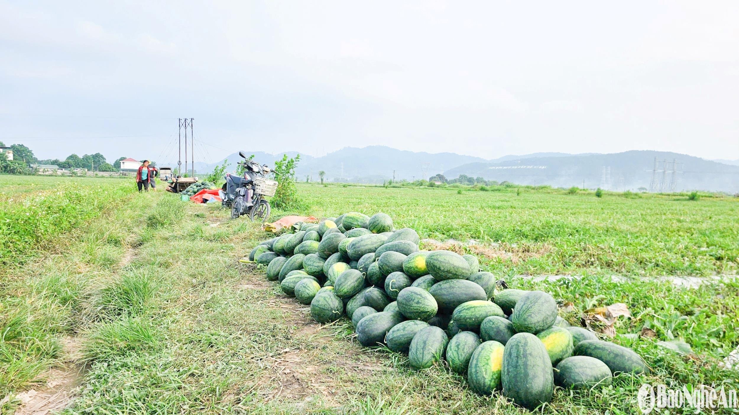 bna_chat-dong-5730a0c476403a37b2c7721095cff10f(1).jpg