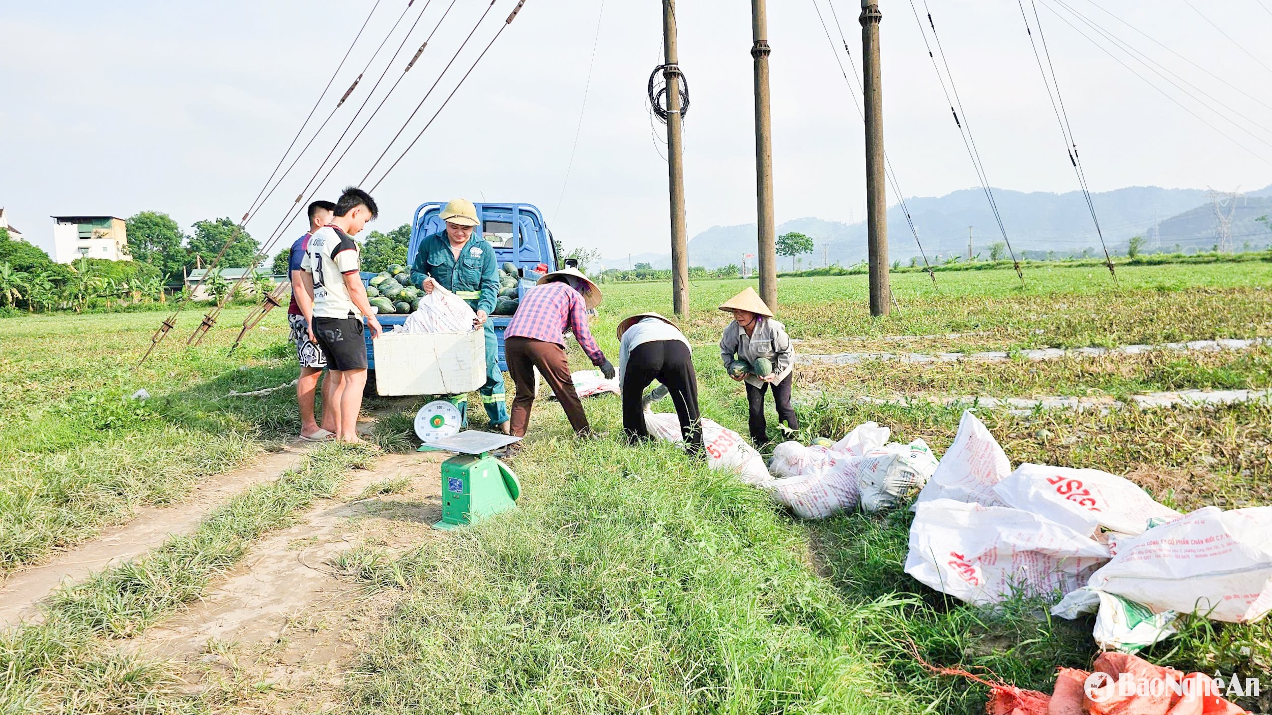 kết nối