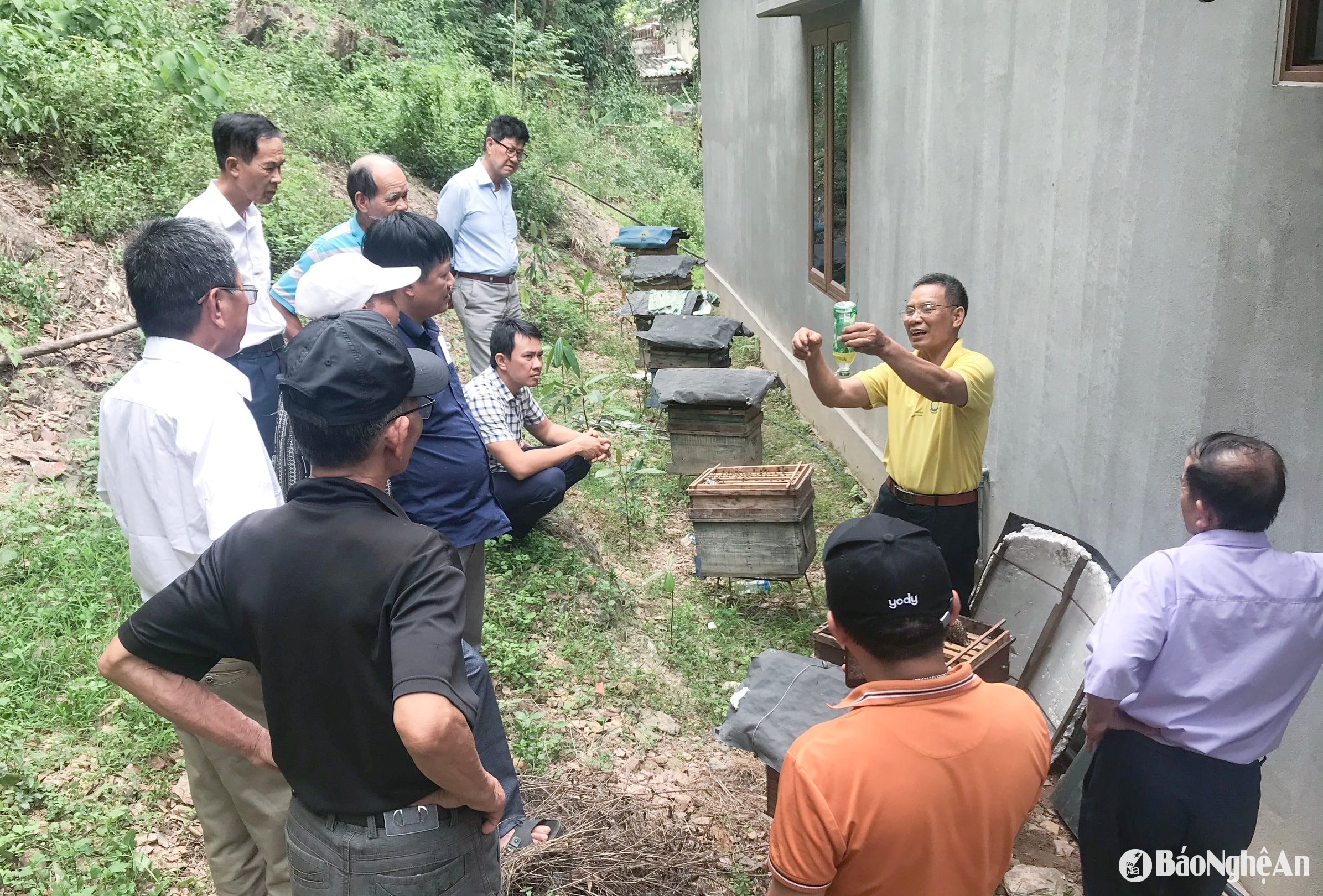  Các bộ và nhân dân xã Tây Hiếu (thị xã Thái Hoà) trao đổi, tiếp thu kỹ thuật nuôi ong khai thác mật thùng kế. Ảnh- Mai Hoa