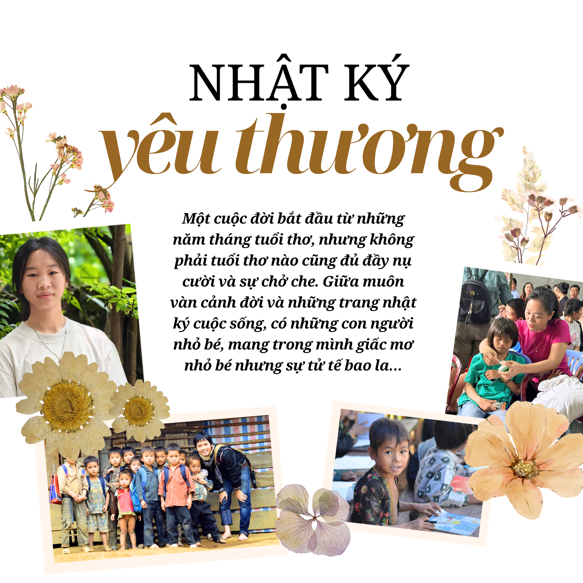 Nhật ký yêu thương (3)