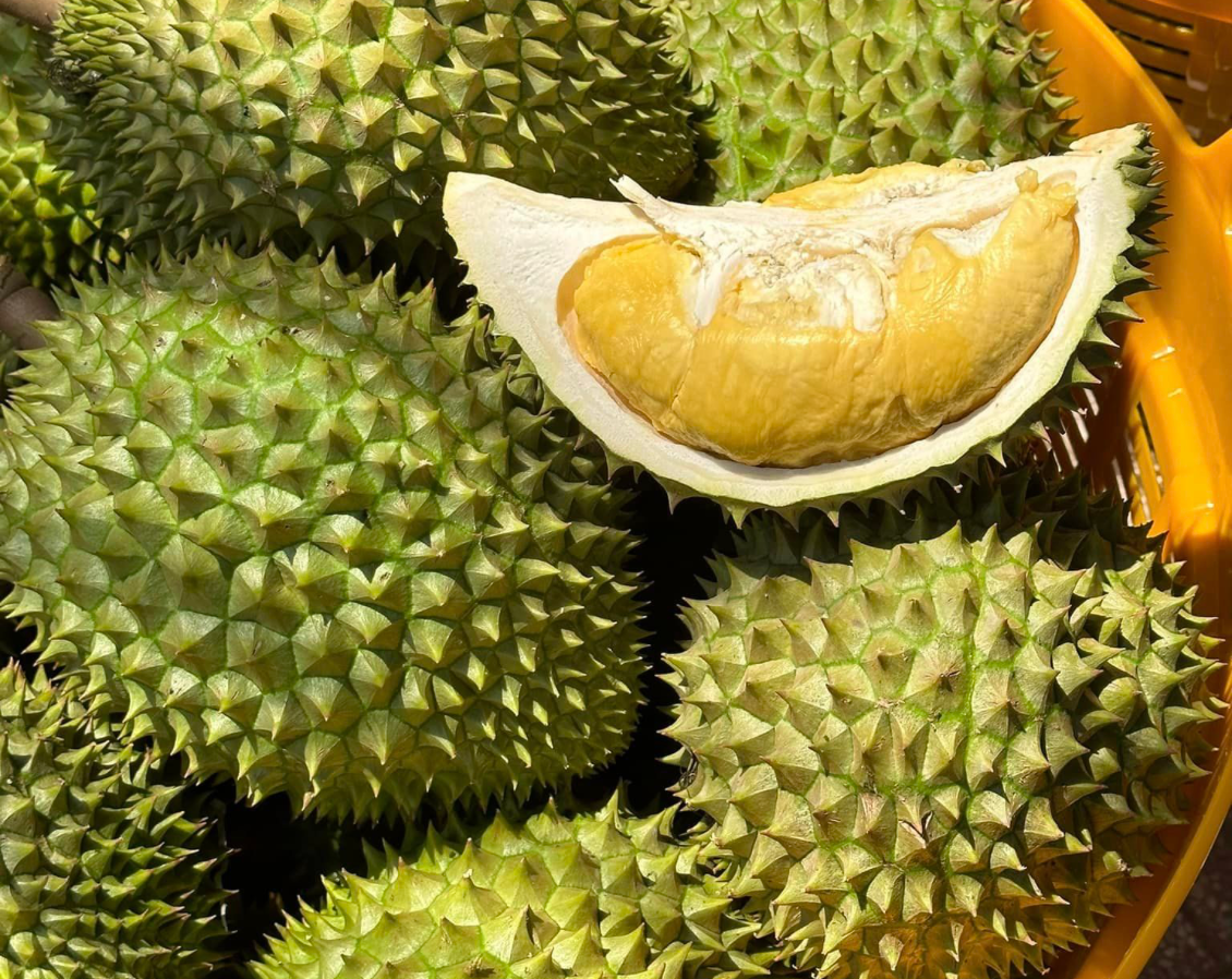 Giá sầu riêng 2/6: Thị trường bình ổn ở mức thấp