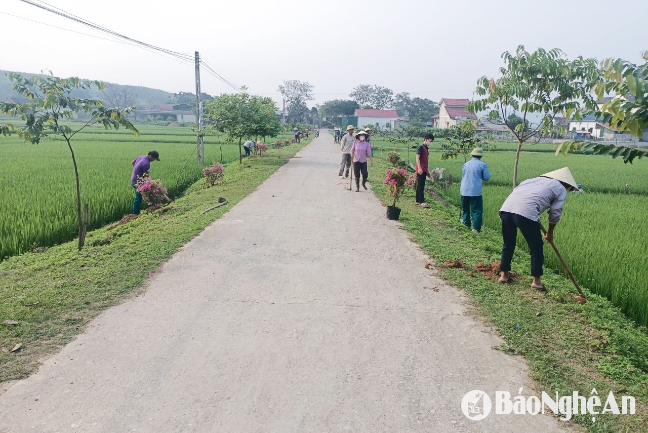 Huy động sức dân chỉnh trang nông thôn mới
