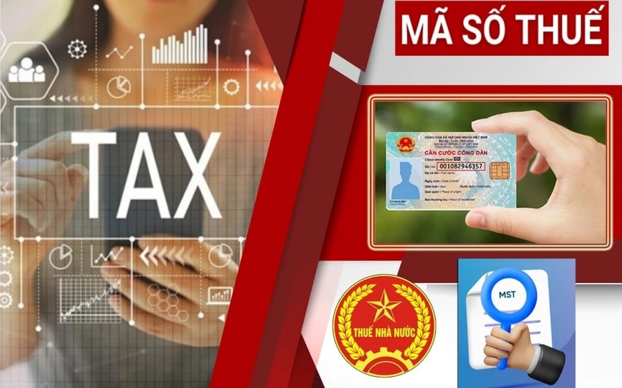 Pay taxes