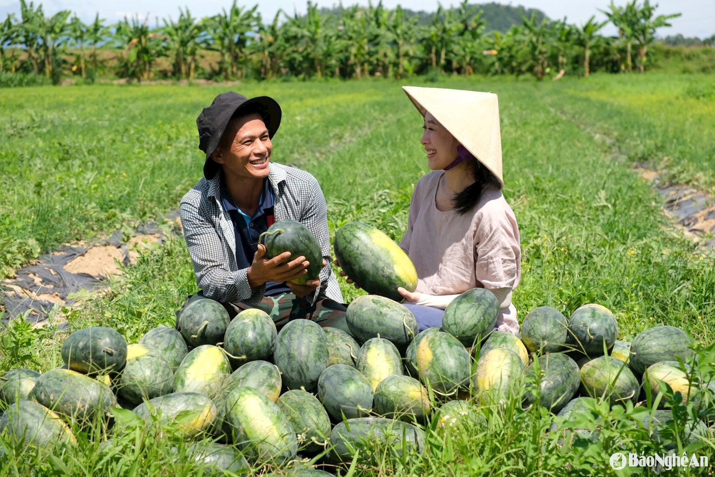 บนา_ลฟ.jpg