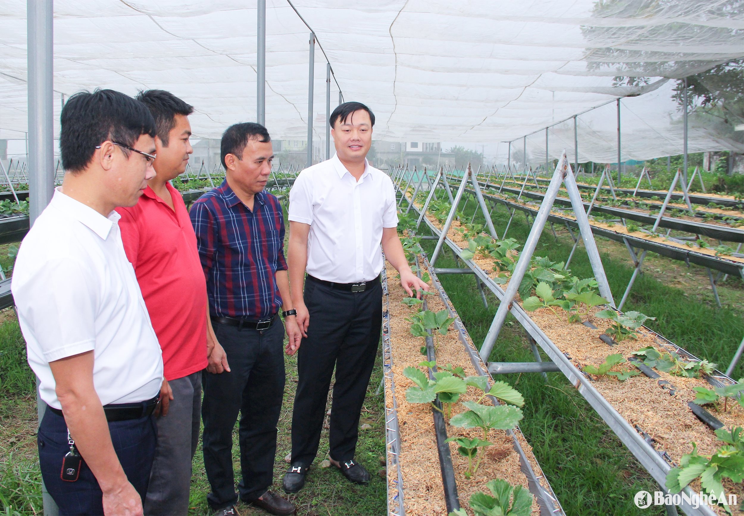 Hưng Nguyên với nhiều kết quả nổi bật về kinh tế - xã hội giai đoạn 2020 - 2025