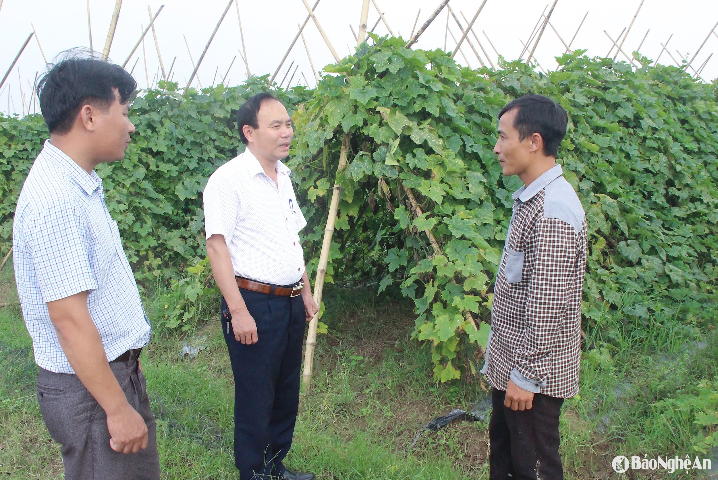 ថ្នាក់ដឹកនាំស្រុក Nam Dan ចុះទៅមូលដ្ឋានដើម្បីស្តាប់ការគិតនិងមតិរបស់ប្រជាជន។ រូបថត៖ Mai Hoa