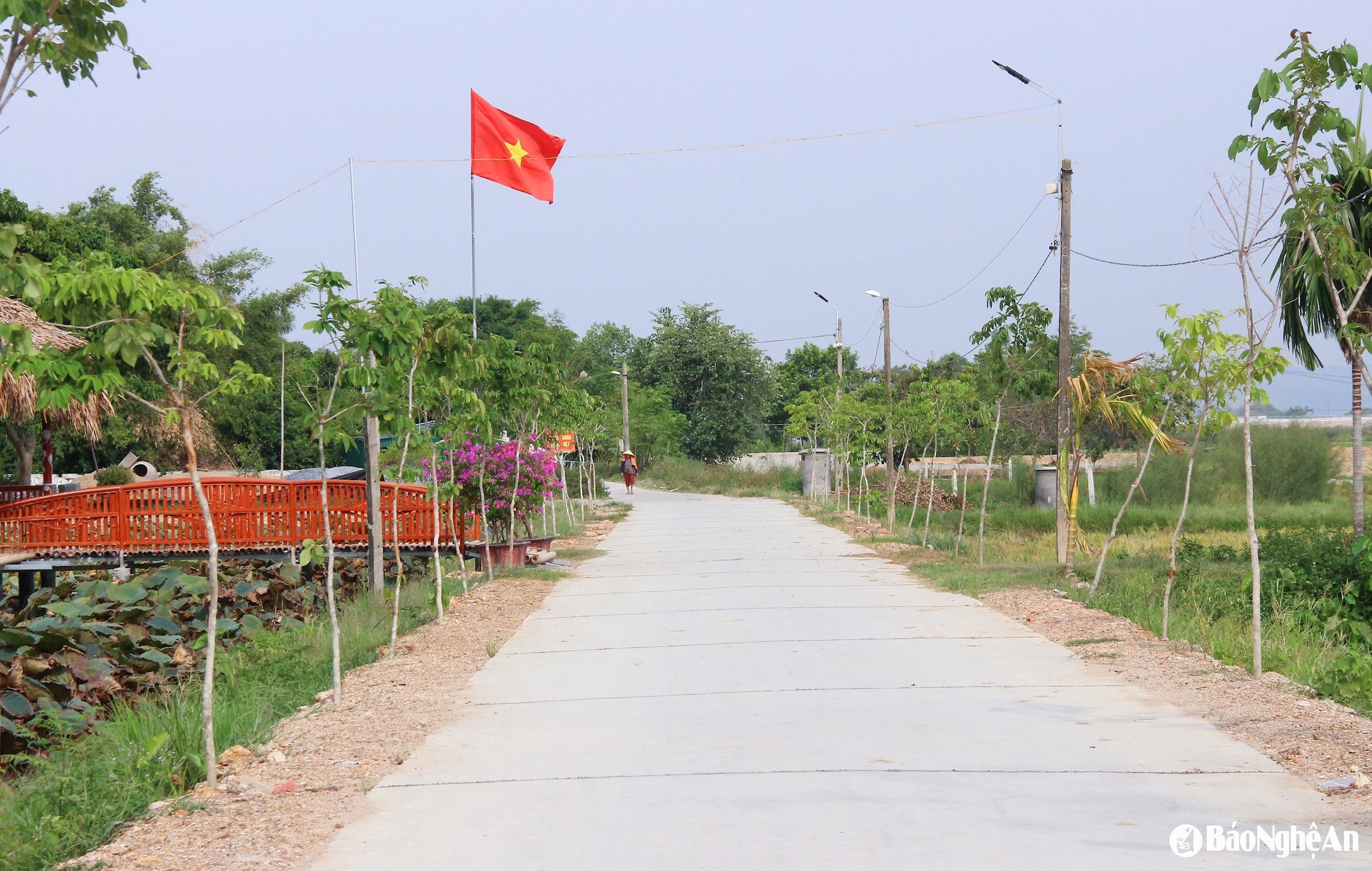 Hệ thống giao thông xã Hưng Đạo được khép kín bê tông. Ảnh: Mai Hoa