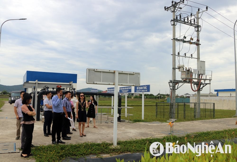 Khảo sát tại WHA