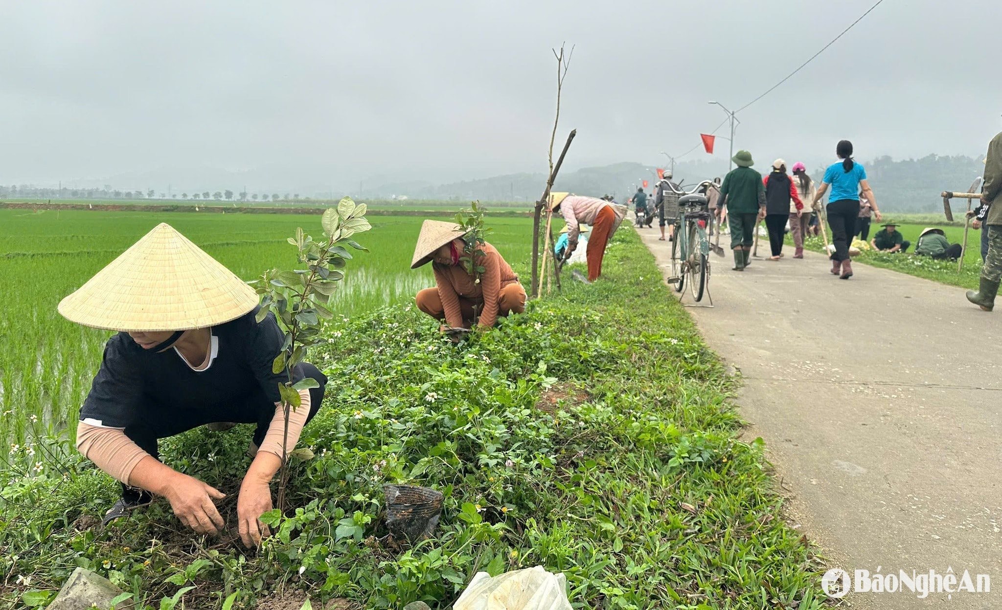 Người dân bản Liên Phương trồng cây xanh hai bên đường. Ảnh CSCC