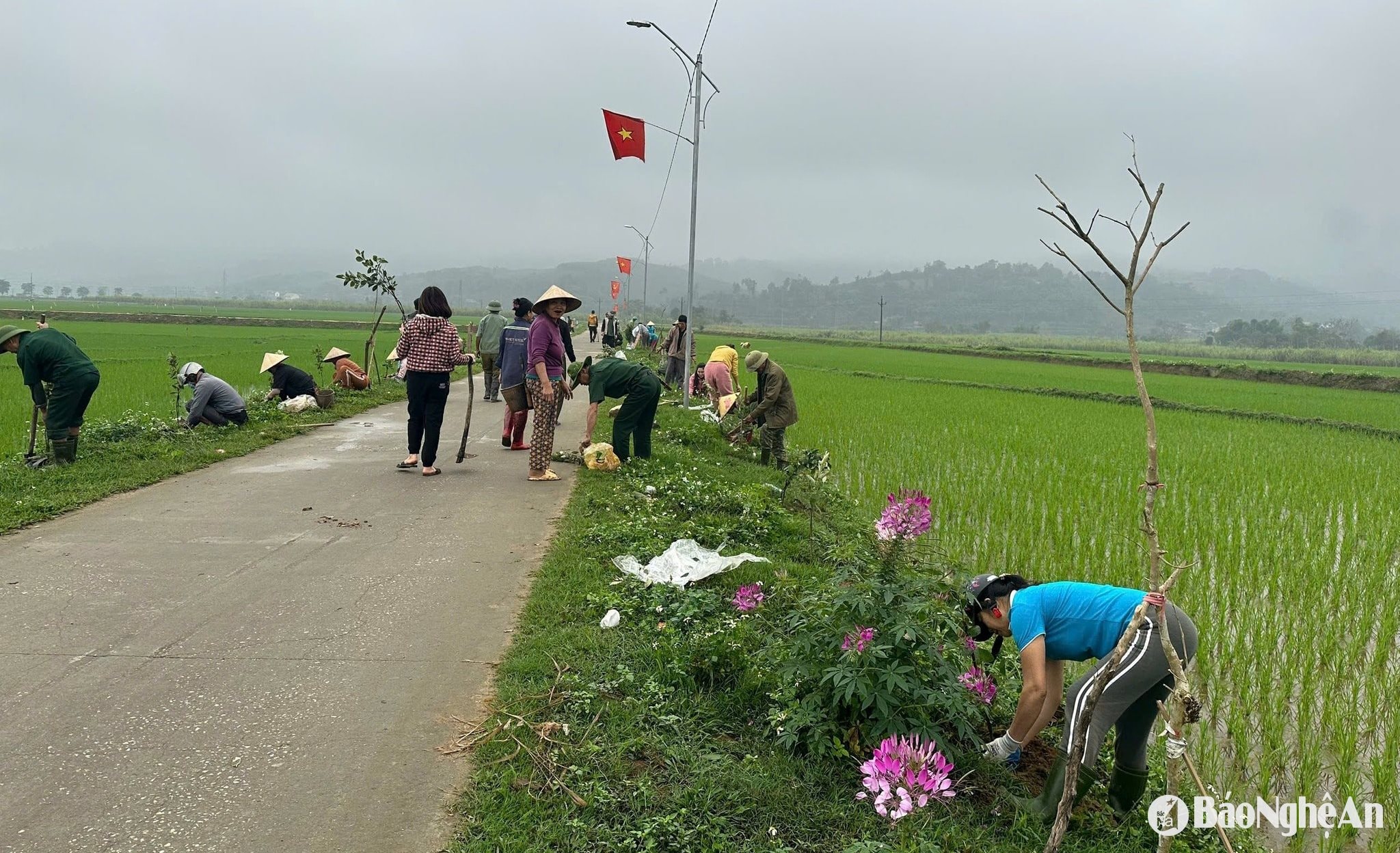 Người dân bản Liên Phương trồng hoa hai bên đường. Ảnh CSCC