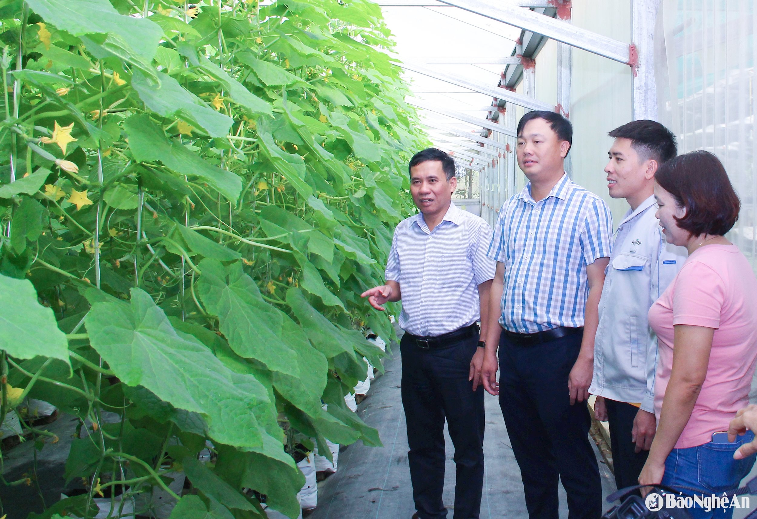 Lãnh đạo huyện Hưng Nguyên kiểm tra mô hình nông nghiệp công nghệ cao tại xã Hưng Lĩnh. Ảnh nông thôn mới của Mai Hoa