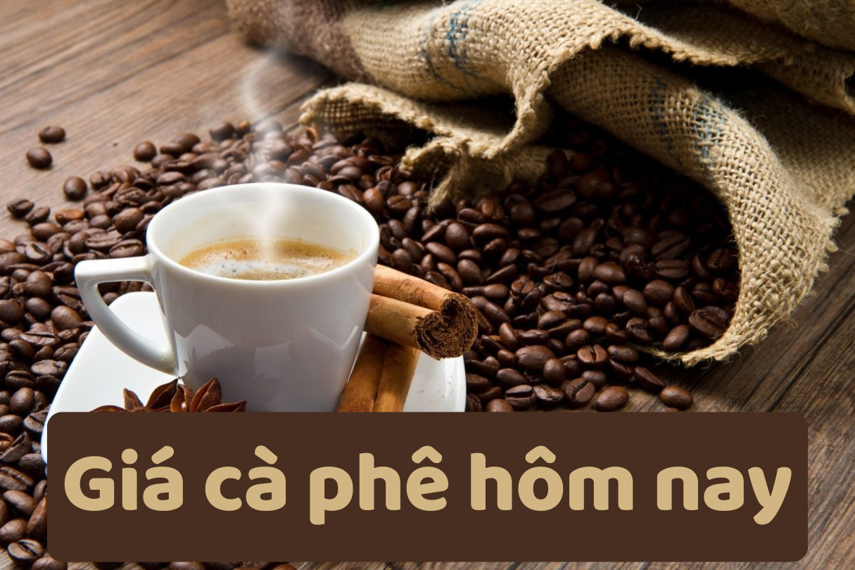 Giá cà phê hôm nay 8/6/2025: Giảm mạnh cuối tuần