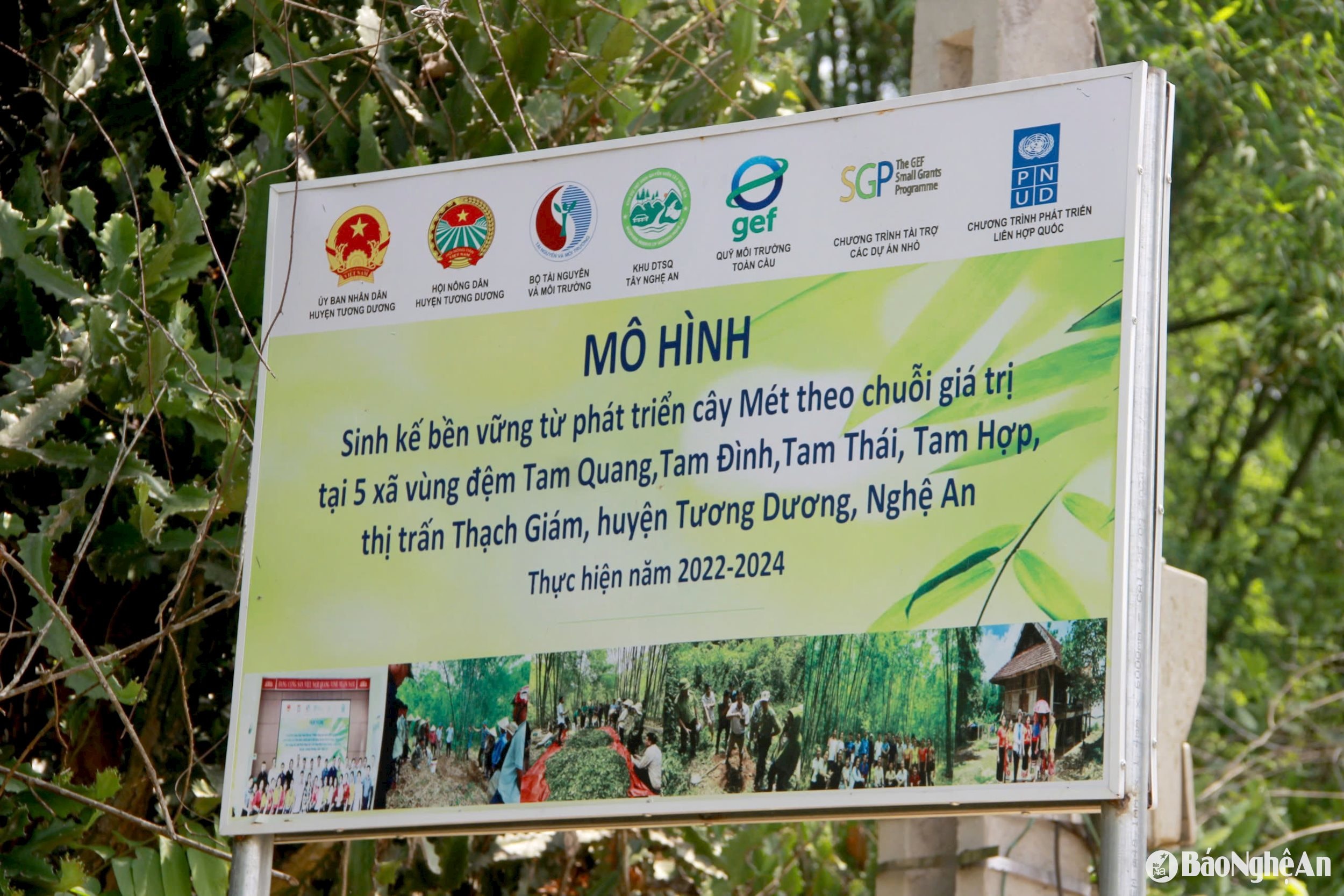 tam quang 3