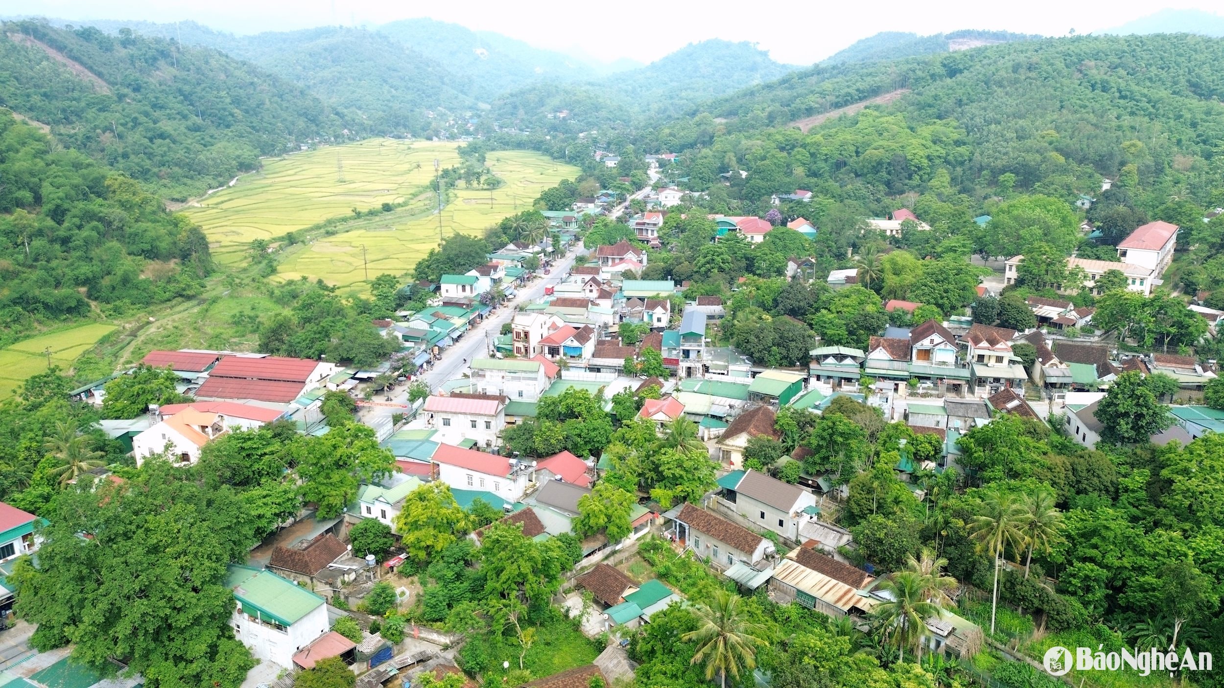 tam quang 8