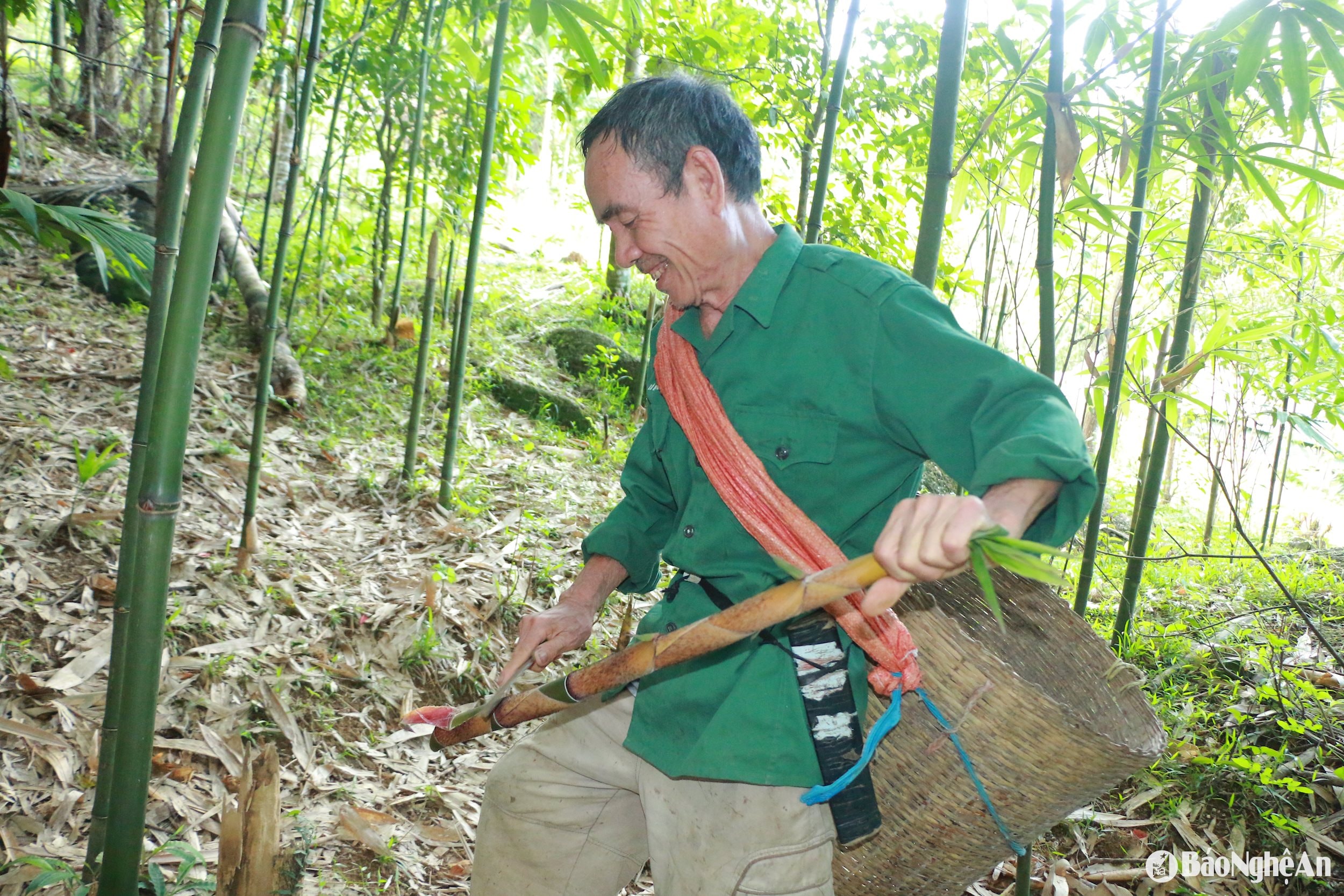 thu hoạch