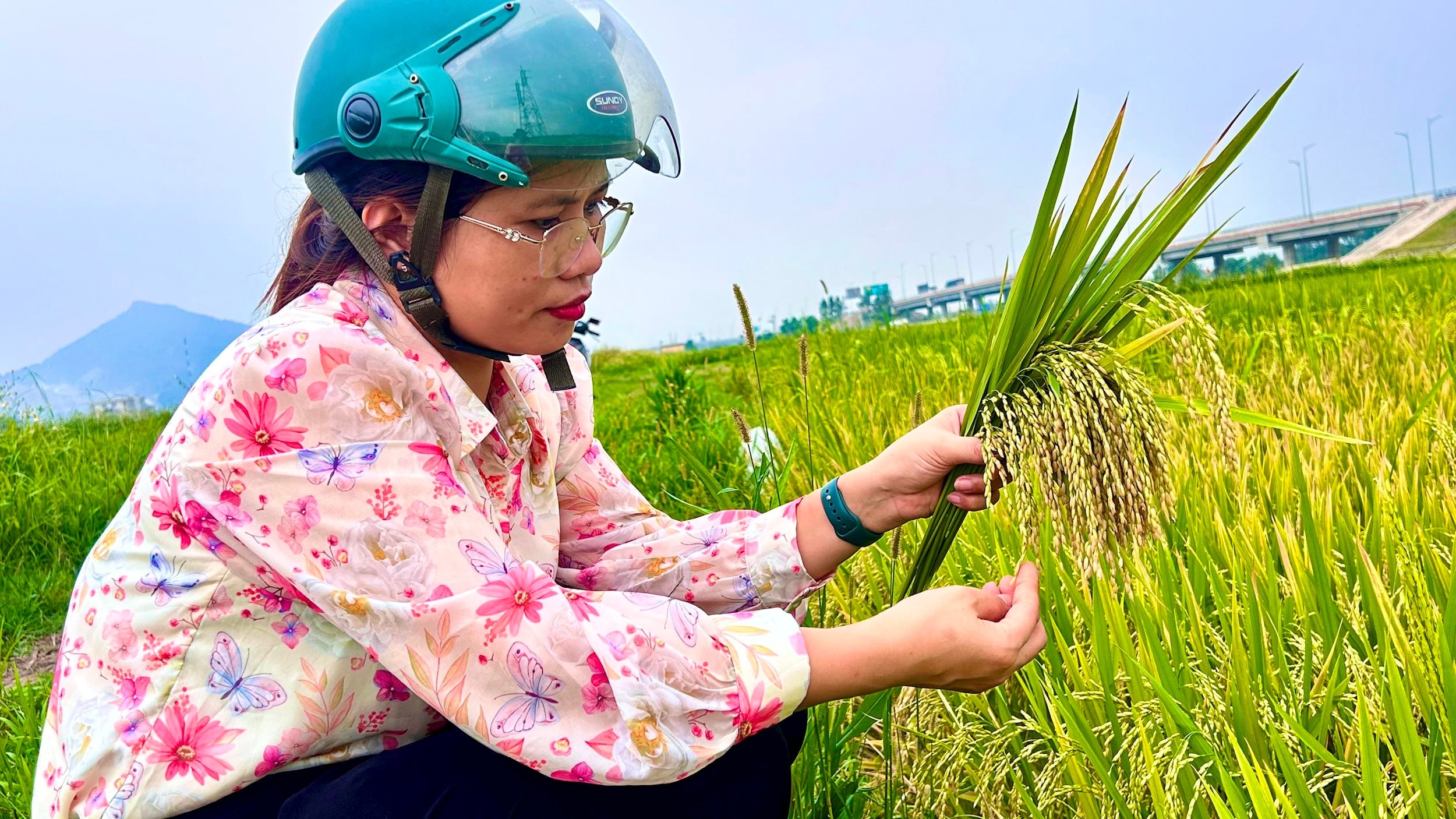 Bna _ yến hưng tây