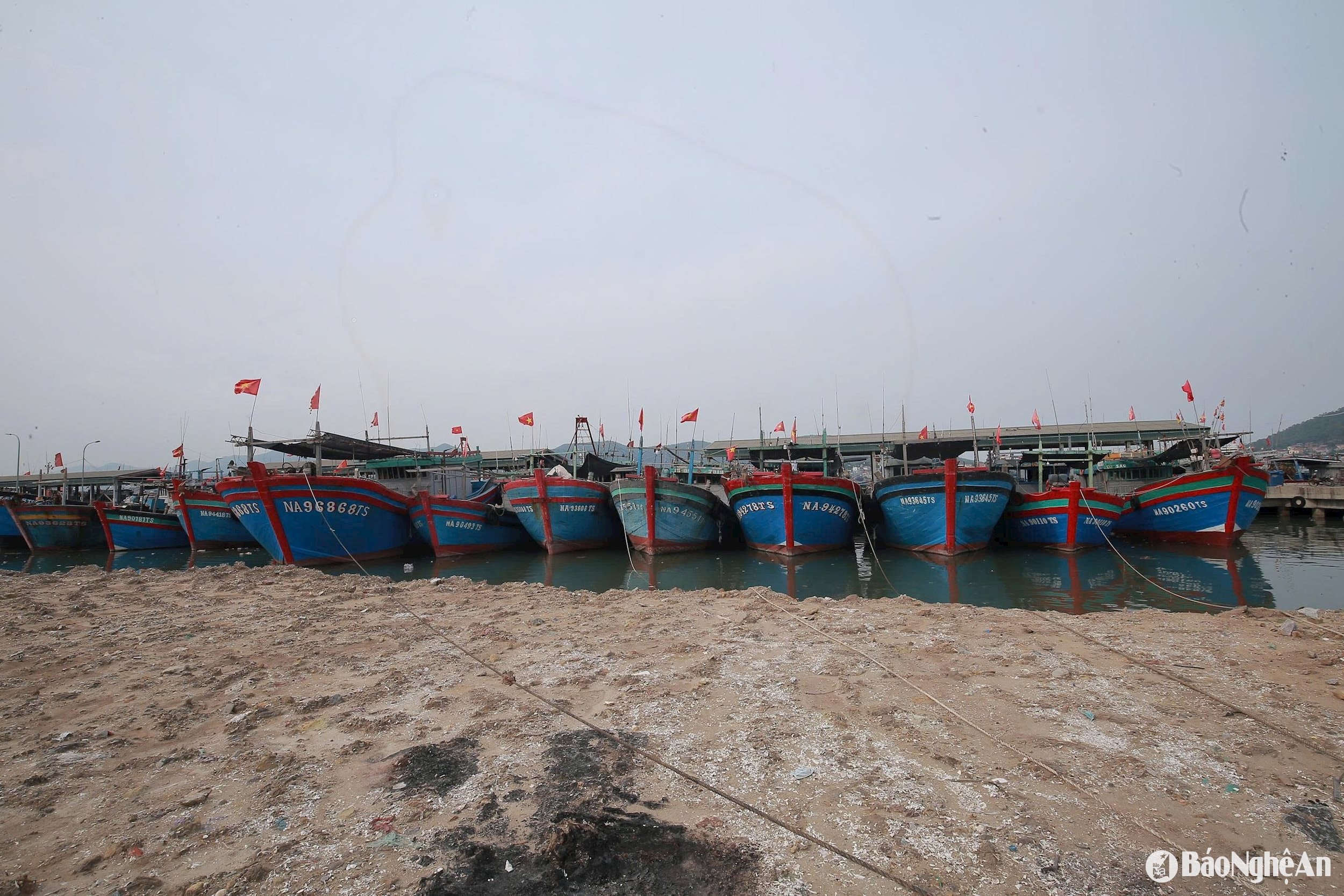 cập bén