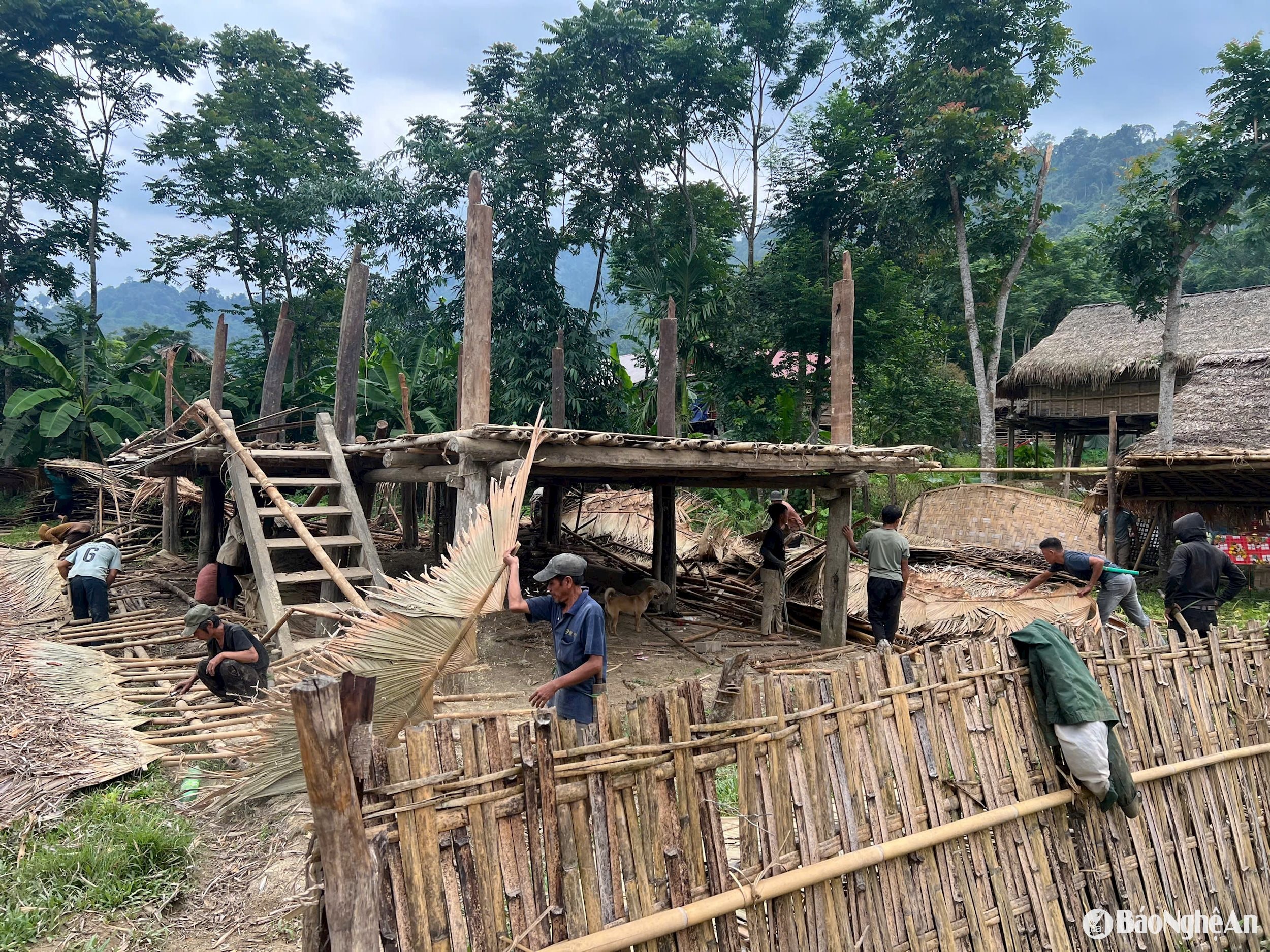 Môn Sơn