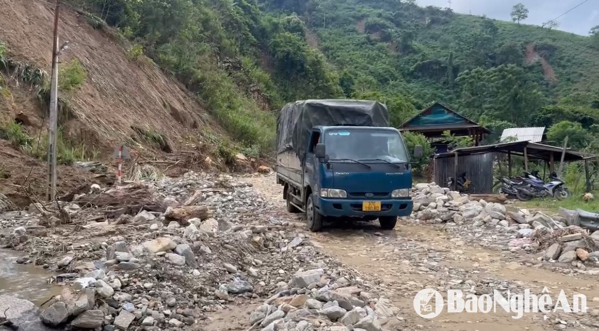 van truong m3456