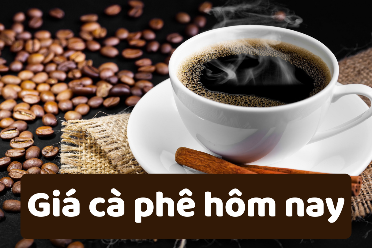 Giá cà phê hôm nay 15 6 2025