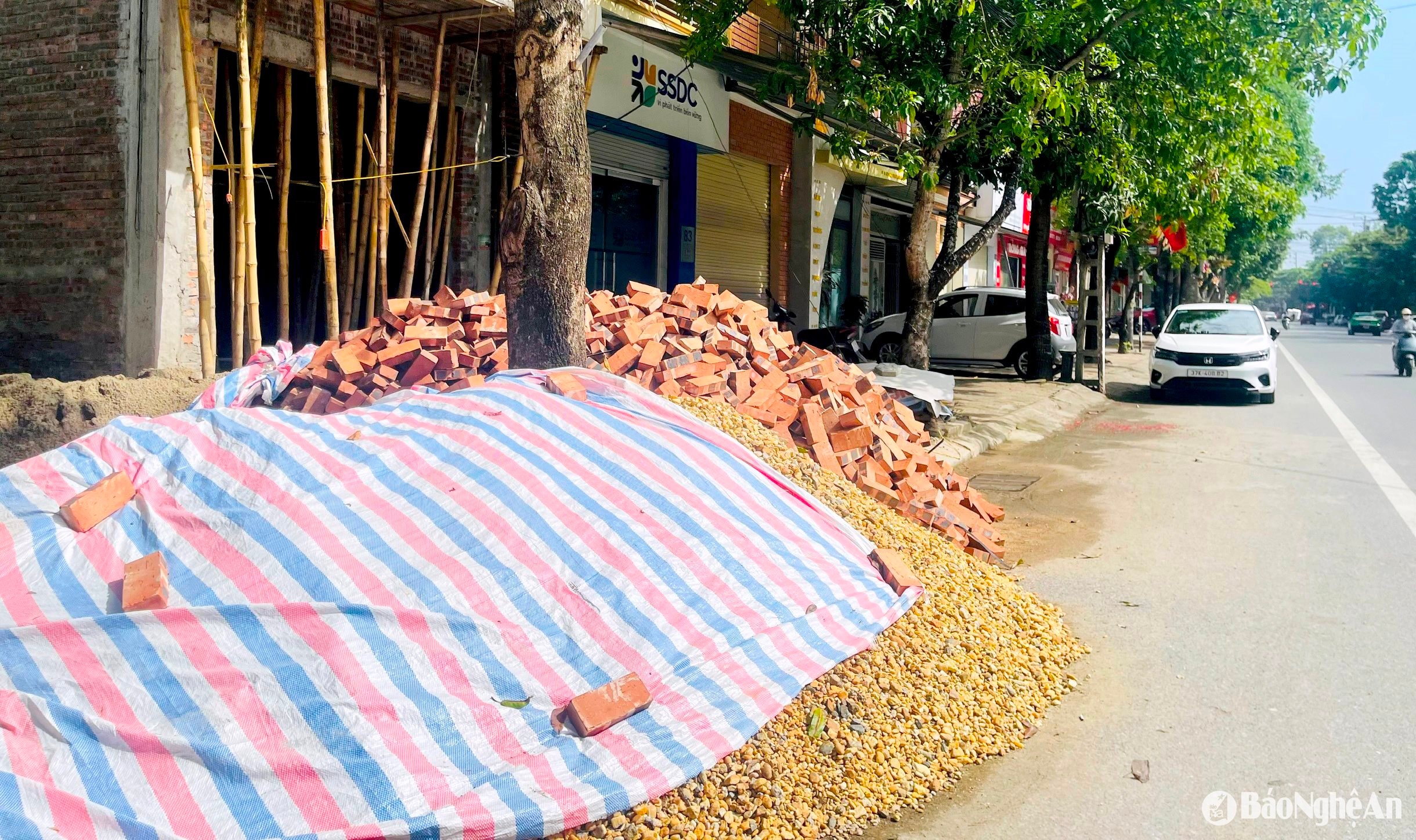 phong định cảng