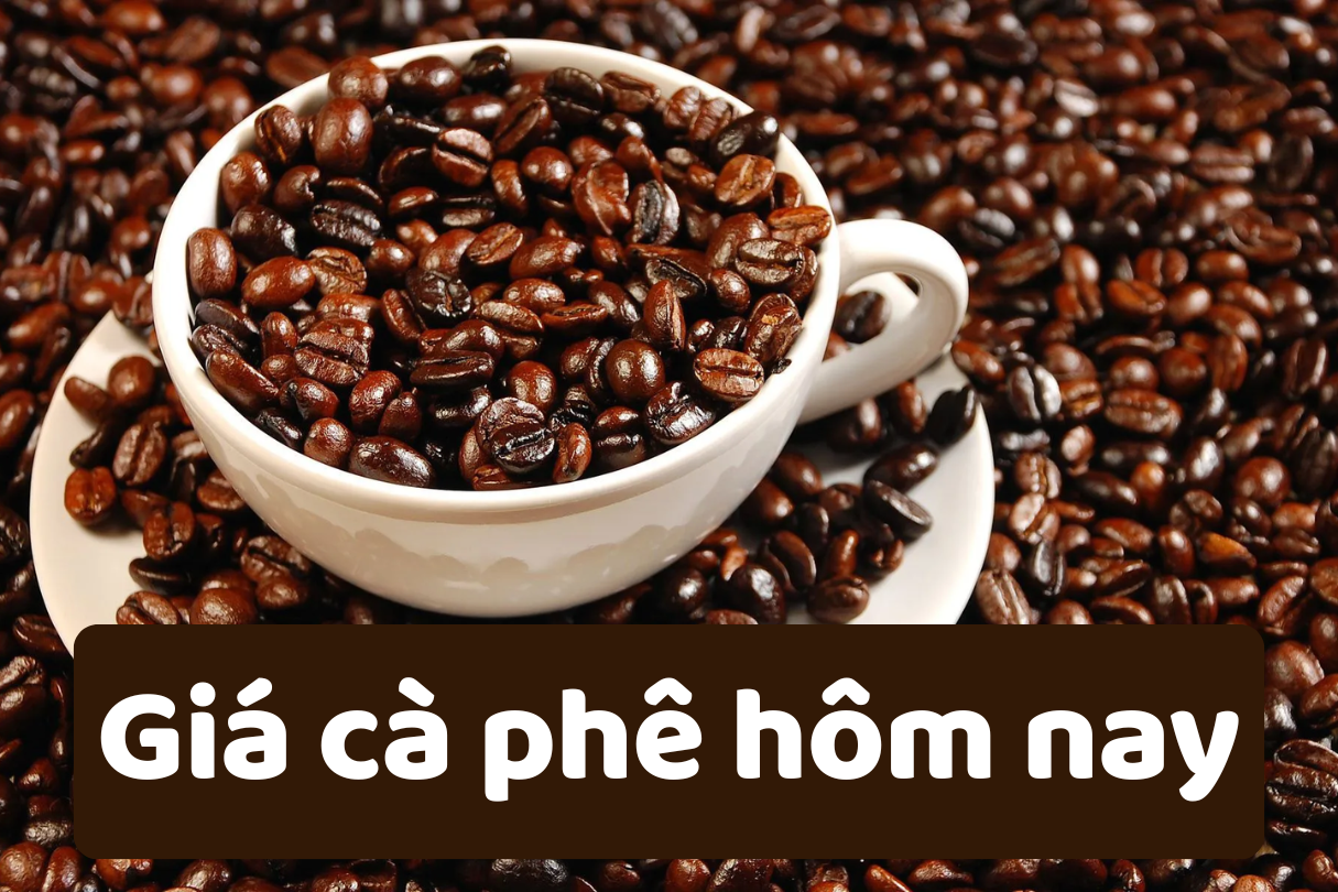 Giá cà phê hôm nay 16 6 2025