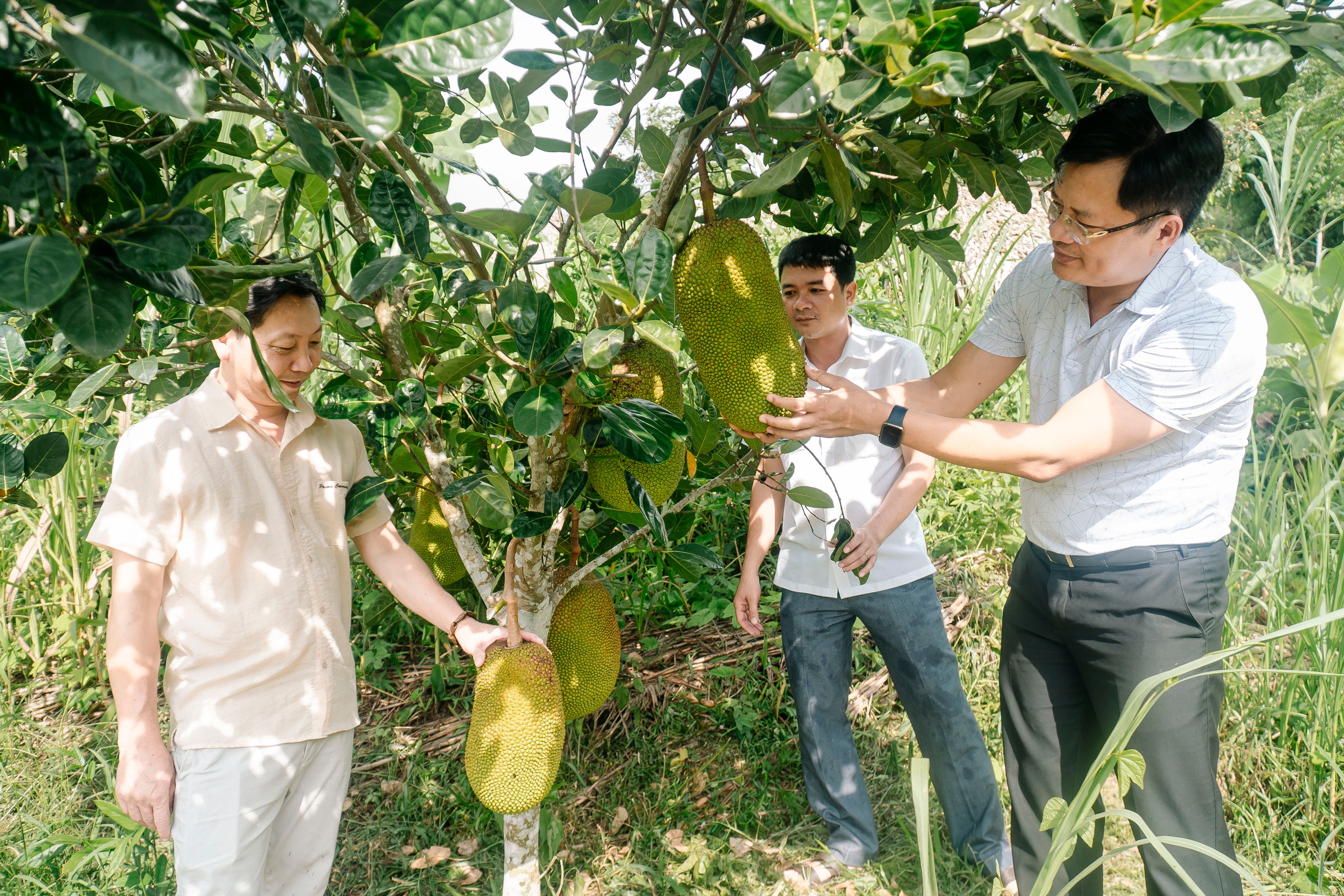ថ្នាក់ដឹកនាំកាសែត Nghe An និងឃុំ Xieng My ស្រុក Tuong Duong បានទៅទស្សនាសួនផ្លែឈើរបស់អ្នកស្រុក។ រូបថត៖ Tung Linh