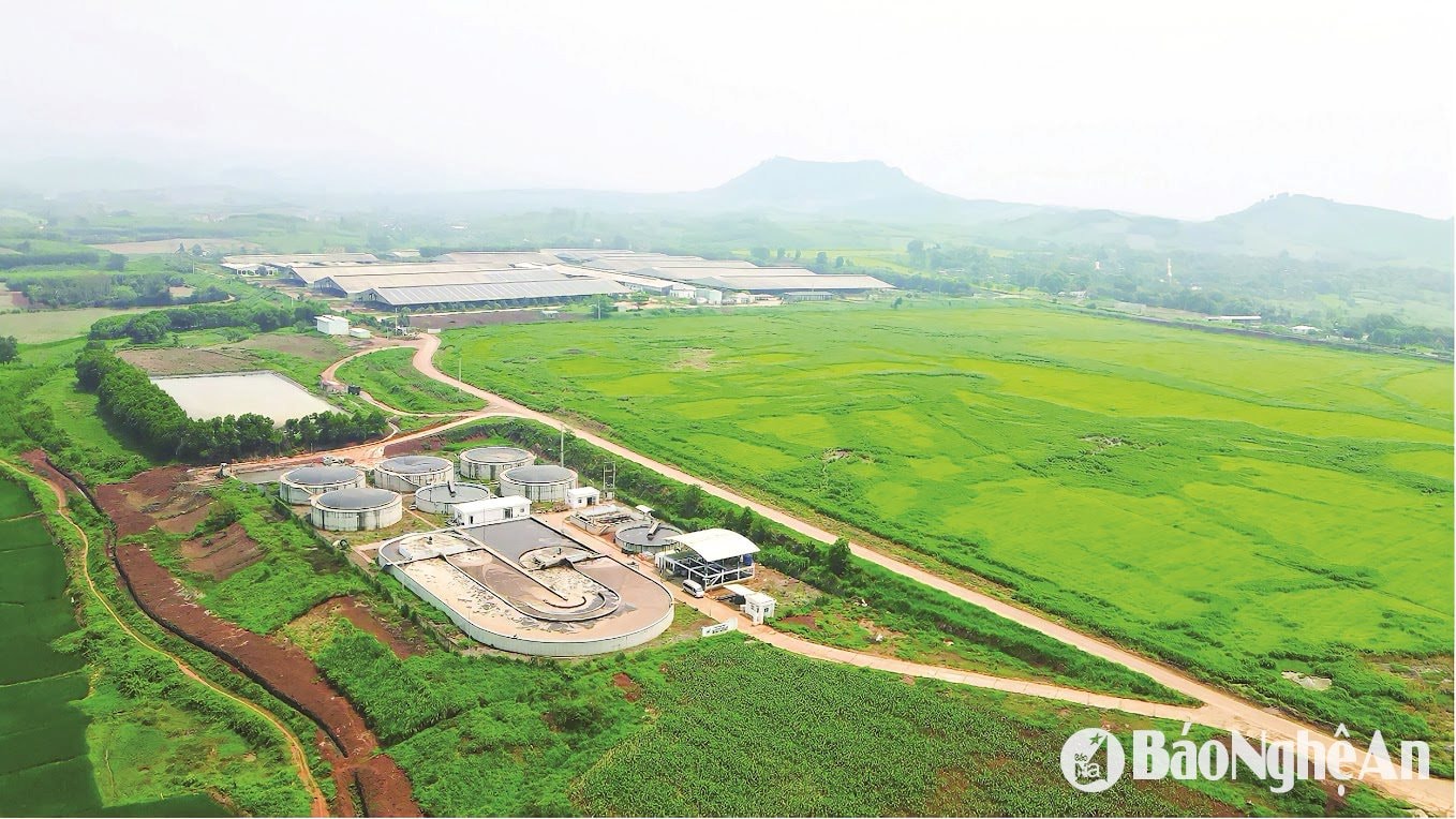 Một phần quang cảnh nhà máy và trang trại TH