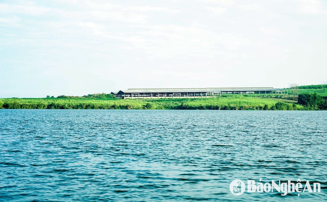trang trại bên sông Sào