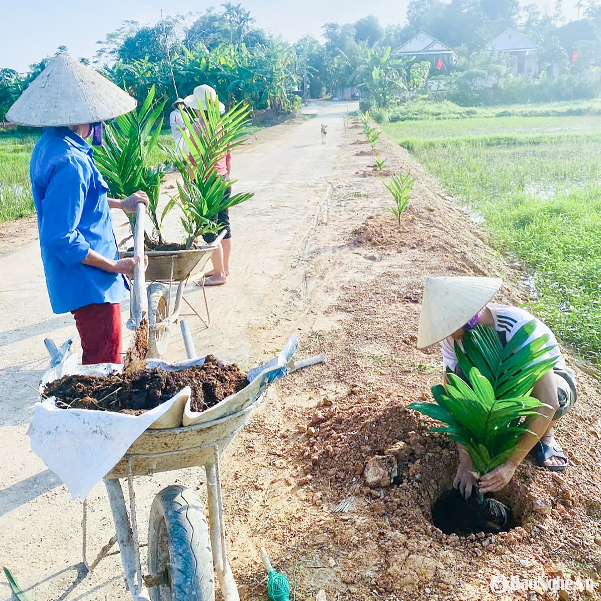 Người dân xóm Liên Trường (xã Thanh Liên, huyện Thanh Chương) trồng cây xanh. Ảnh- Mai Hoa
