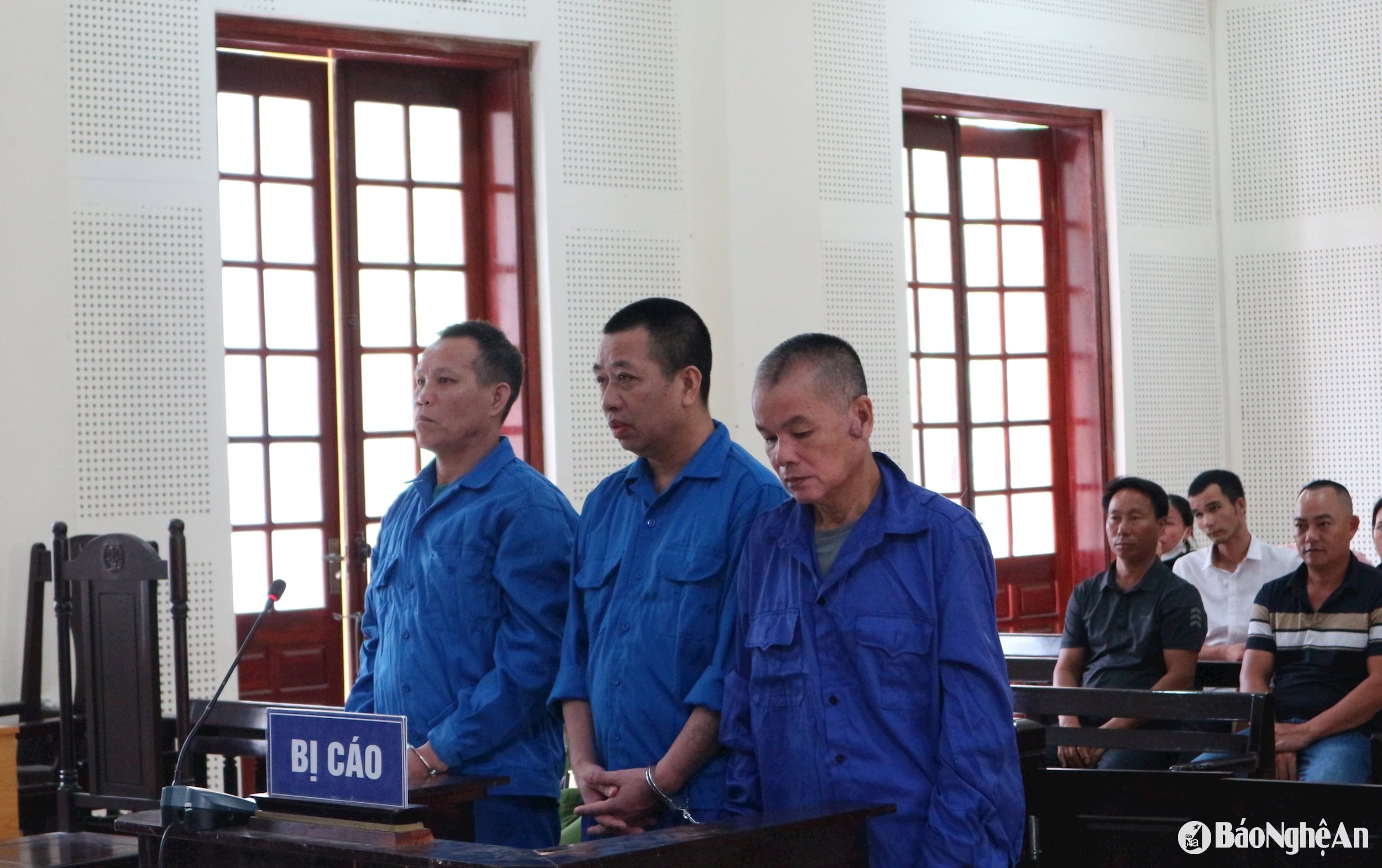 6.ảnh pv